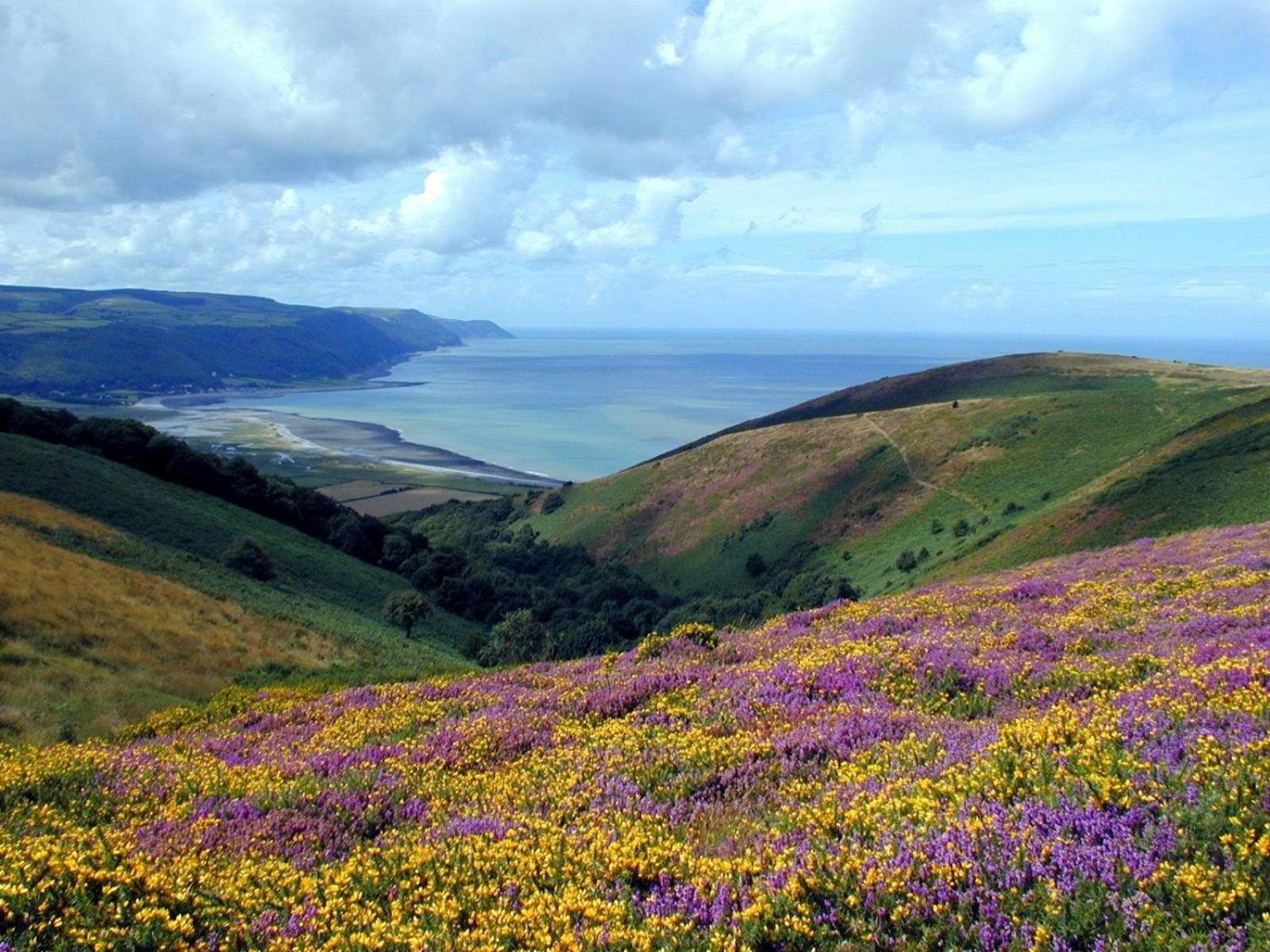 Exmoor Bnb In Withypool On Two Moors Way Exterior foto